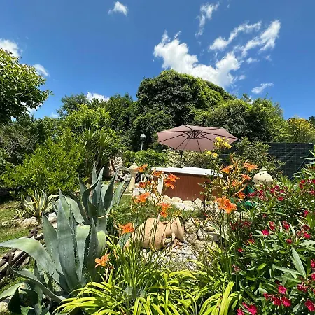 The Queen 山林小屋